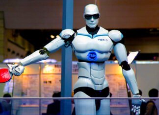 Piwi – A tiny robot that answers your questions.