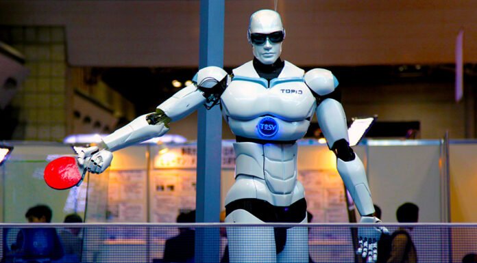 Piwi – A tiny robot that answers your questions.